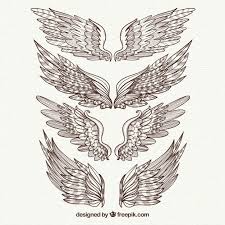 Download gambar 3d sayap malaikat. 20 Gambar Sayap Malaikat Burung Dan Bidadari Keren Dyp Im How To Draw Hands Wings Vector Free
