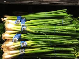 Durable and reusable products fulfill our duty as global citizens to protect the environment. Green Onions Editorial Photo Image Of Sale Brown Healthy 101034861