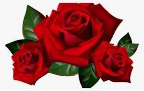 We did not find results for: Purple Rose Clipart Png Tumblr Pencil And In Color Transparent Background Roses Transparent Png Image Transparent Png Free Download On Seekpng