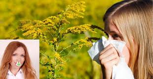 We did not find results for: Bionette Tratament Modern FÄƒrÄƒ Medicamente In Alergia La Ambrozie Stiri Md Stiri Md