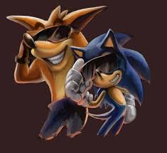 Sonic And Crash Rocking The Sunnies Crash Bandicoot Bandicoot Sonic Fan Art