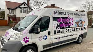 World of pets and resort. Hypotheses Hypotheses Devine Jespere Force Motrice Mobile Dog Grooming Vans Coup Avant Adresse De Rue