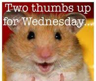 Please read our complete rules page before posting. Funny Wednesday Quotes Pictures Photos Images And Pics For Facebook Tumblr Pinterest And Twitter
