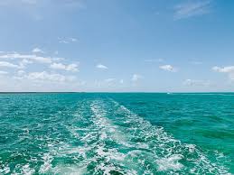 Chimani is the leading national park mobile app. The Best Things To Do In Biscayne National Park Cs Ginger Travel
