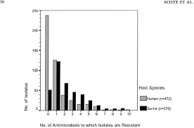 Frequency Bar Chart Illustrating The Distribution Of