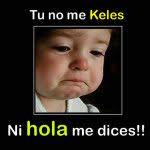 Martin Favela (favelam331)