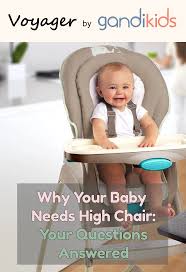 Do I Need High Chair Answers To Internet S Frequently Asked Question In 2020 High Chair Baby Needs This Or That Questions