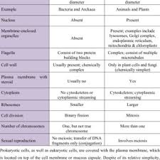 We did not find results for: 1 Principal Differences Between Prokaryotic Cells And Eukaryotic Cells Download Table