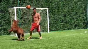 1920x1080 lionel messi's jersey number at psg: Lionel Messi Dog A Giant Mastiff Filmed Playing Soccer With Master
