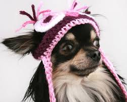 Pullover stricken anleitung hunde mantel kleidung kleiner hund hunde pullover stricken kleine hundepullover hunde accessoires hund häkeln du suchtest nach: Dog Hat Crochet Owl Beanie Hat For Dogs Etsy Hunde Pullover Hunde Pullover Stricken Pullover Stricken