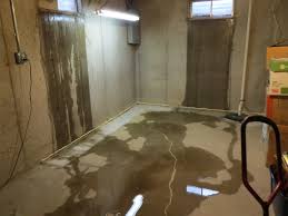 In fact, basements are notoriously dark and how to fix it: Keeping Your Items Safe From Basement Moisture In Knoxville Tnall Dry