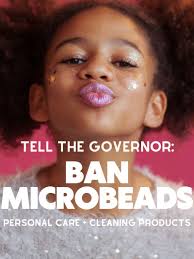 Emily Hall Warren, SHRM-SCP