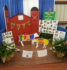 Jackson County Extension Service Uf Ifas Extension Ag Day Booth Display Fair Projects