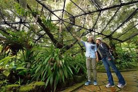 Ketua menteri 111 | 150102 | unit sains & teknologi 111 | 150103 | institut latihan sektor awam negeri 111 | 150104 | unit pemimpin kemajuan rakyat negeri 111 | 150105 | unit pengurusan harta kerajaan 111 | 150106 | bhgn. Full Day Kinabalu Park And Poring Hot Spring Day Trip 2021 Kota Kinabalu