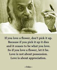 The Power Of Our Thoughts Words On Water Brilliant Quote Osho Quotes Up Quotes