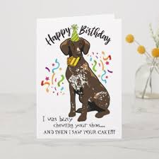 Funny Happy Birthday Wishes In German Happy Birthday From German Short Haired Pointer Card Zazzle Com Funny Birthday Cards Baby Birthday Card Happy Birthday