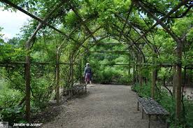 Un Chateau Qui Fait Renaitre L Imaginaire Des Contes De Fees Le Jardinoscope Toute La Flore Et La Faune De Nos Parcs Et Jardins Con Immagini Piante Perenni Piante