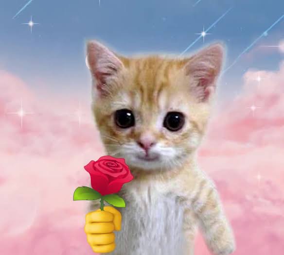 send you a little flower#cat #cute | cute | TikTok