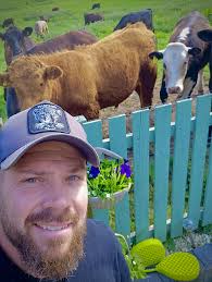 Looking for a company that can remove and replace a garden fence (27 feet)  and dig out several shrubs/trees including a large bamboo along the fence  line. Genuine recommendations please 😊 If