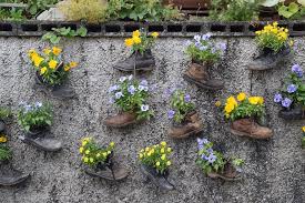 Menanam bunga krokot ini mungkin belum terlalu populer bagi sebagian besar masyarakat di indonesia. Kreatif Penataan Bunga Krokot Dll Kreatif Penataan Bunga Krokot Dll Ide Terbaru 10 Tanaman Hias Krokot All About Krokot Moss Rose Sutra Bombay Bunga Pukul 10 Portulaca Cara Menanam Bunga