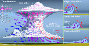 Tempeste, vent impetueux, grosse pluye ordinairement de peu de durée orage — may refer to: 1 Schema Classique Des Vents Dans Un Orage Terrestre Et De La Formation Download Scientific Diagram