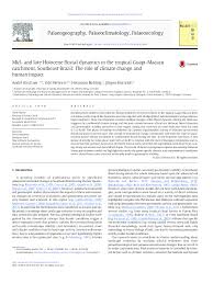 pdf mid and late holocene fluvial dynamics in the tropical