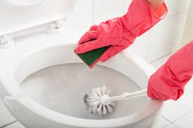 4.4 out of 5 stars. 19 Genius Tips To Deep Clean A Bathroom Housewife How Tos