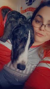 Why is my great dane scared of outside?