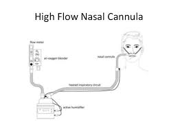 Learn vocabulary, terms and more with flashcards, games and other study tools. High Flow Nasal Cannula
