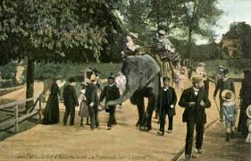 Le Jardin D Acclimation Annees 1900 Jardin D Acclimatation Photos Anciennes Bois De Boulogne