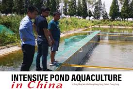 The nations of the european continent collectively; The Aquaculturists Intensive Pond Aquaculture In China