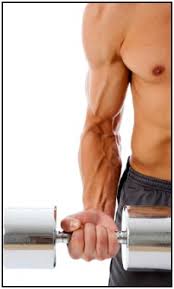 manite insulin to gain muscle and
