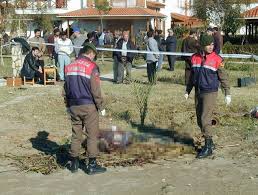 Sedat peker'in videolarında da anlattığı azerbaycanlı suç örgütü elebaşı lotu quli lakaplı nadir salifov'un antalya'da bir otelde öldürülmesiyle ilgili gerçekleştirilen operasyonda yabancı uyruklu 4 kişinin. Son Dakika Akilalmaz Vahset 18 Yil Kacan Katil Yakalandi Haberler Son Dakika Haberleri