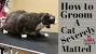 Matted Cat Hair Removal Cream