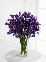 My pictures of flowers in bloom in anchorage alaska during the summer. Stunning Purple Bouquet Birthday Flowers Flowers Delivered Flowers