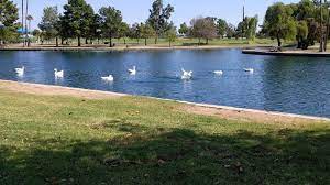 10 Great Parks Near Phoenix For A Picnic In The Shade Urbanmatter Phoenix