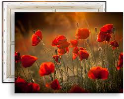 Leinwand Xxl Riesige Grossen Gunstig Bestellen Versandfrei Relita polsterbett mels schwarz/anthrazit 140x200 cm mit federkernmatratze und bettkasten.