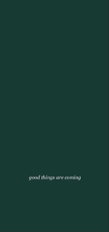 Forest Green Aesthetic Wallpaper Dark Green Wallpaper Dark Green Background Green Aesthetic