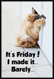 The following tuesday quotes will help you maintain positive momentum throughout your week. Morning Fridays Steemit
