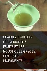 Chassez Tres Loin Les Mouches A Fruits Et Les Moustiques Grace A Ces Trois Ingredients Mouche Mouches Fruit Fruits Ingredient Tableware Bowl Lockscreen