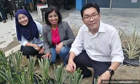 The current minister of agriculture and food industries of malaysia is ronald kiandee, since march 2020. Malaysia Deputy Agriculture Minister On Urban Farms Billionfarmers