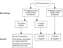 What is the culture media in microbiology? Flowchart Of Samples For Routine Microbiology Cultures And Unyvero Bcu Download Scientific Diagram