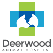 We have experience treating all animals, exotic pets, birds and even injured wildlife. Veterinarian In Hamilton Township Nj Deerwood Animal Hospital