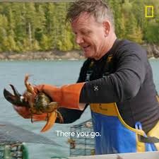 Gordon ramsay ultimate fit food. 8scohh4w 0 Nm