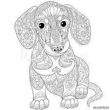 Mandala chien à imprimer zombie image halloween a colorier. Photo Desing Vk Sobaka Taksa Raskraski Konturnye Risunki