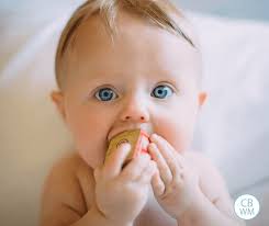 Baby Whisperer E A S Y Routine Babywise Mom