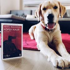 Pin On Bookstagram 7