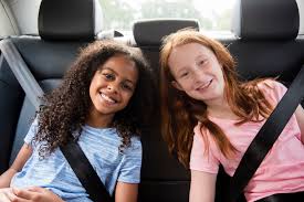 Mysnugglelife Pet Carpool Seat - #1 Rated Pet Car Seat In 2022