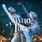 International Ballet Stars - Swan Lake event image
