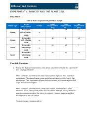 Tonicity and the animal cell experiment. Hoangtweek3experiment4 Docx Diffusion And Osmosis Experiment 4 Tonicity And The Plant Cell Data Sheet Table 7 Water Displacement Per Potato Sample Course Hero